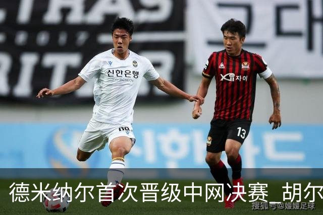 德米纳尔首次晋级中网决赛 胡尔卡奇因伤退场